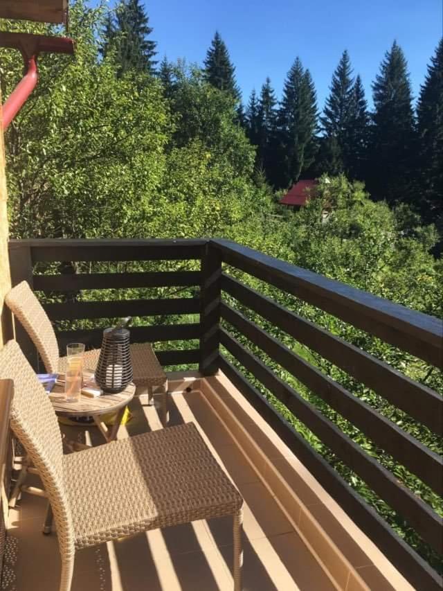 Forest Vibes Spa Cîmpu lui Neag Exterior foto
