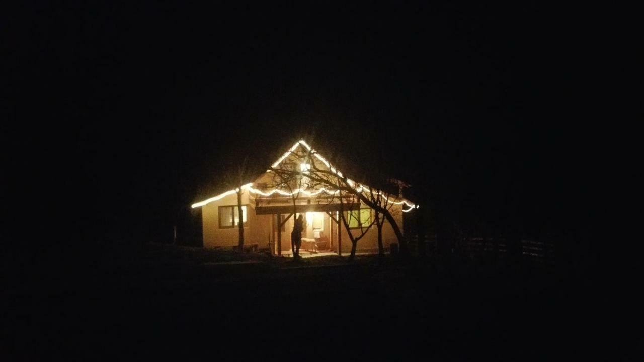 Forest Vibes Spa Cîmpu lui Neag Exterior foto