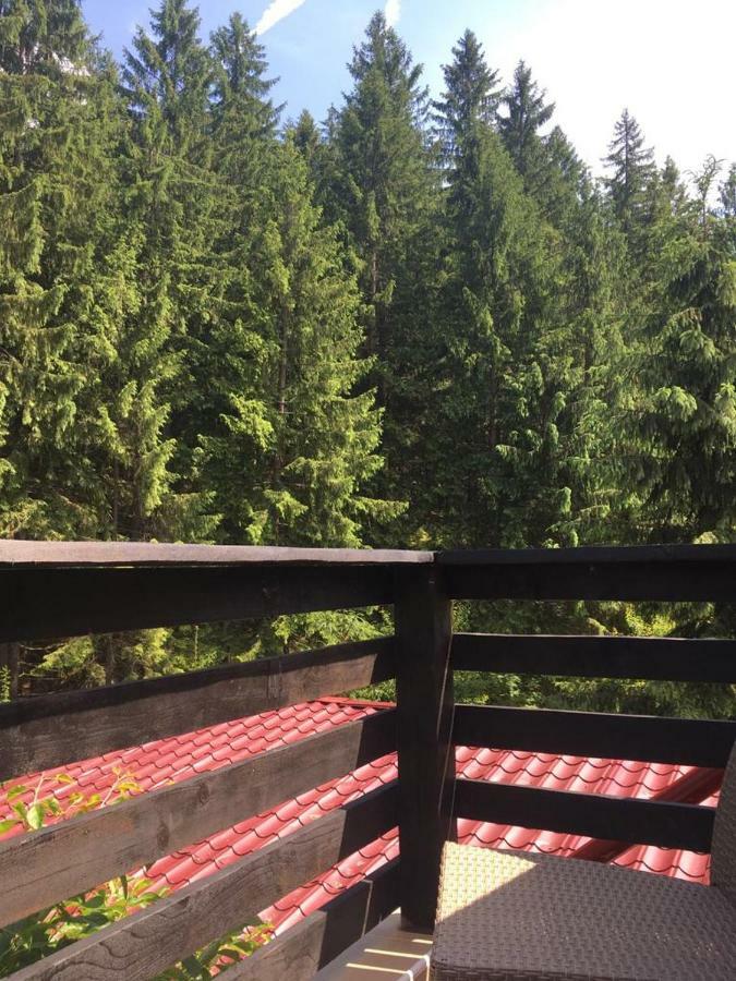 Forest Vibes Spa Cîmpu lui Neag Exterior foto